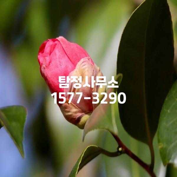 탐정사무소 이미지