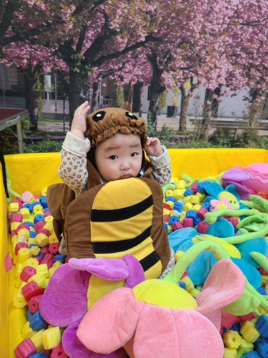 꽃해랑 이미지