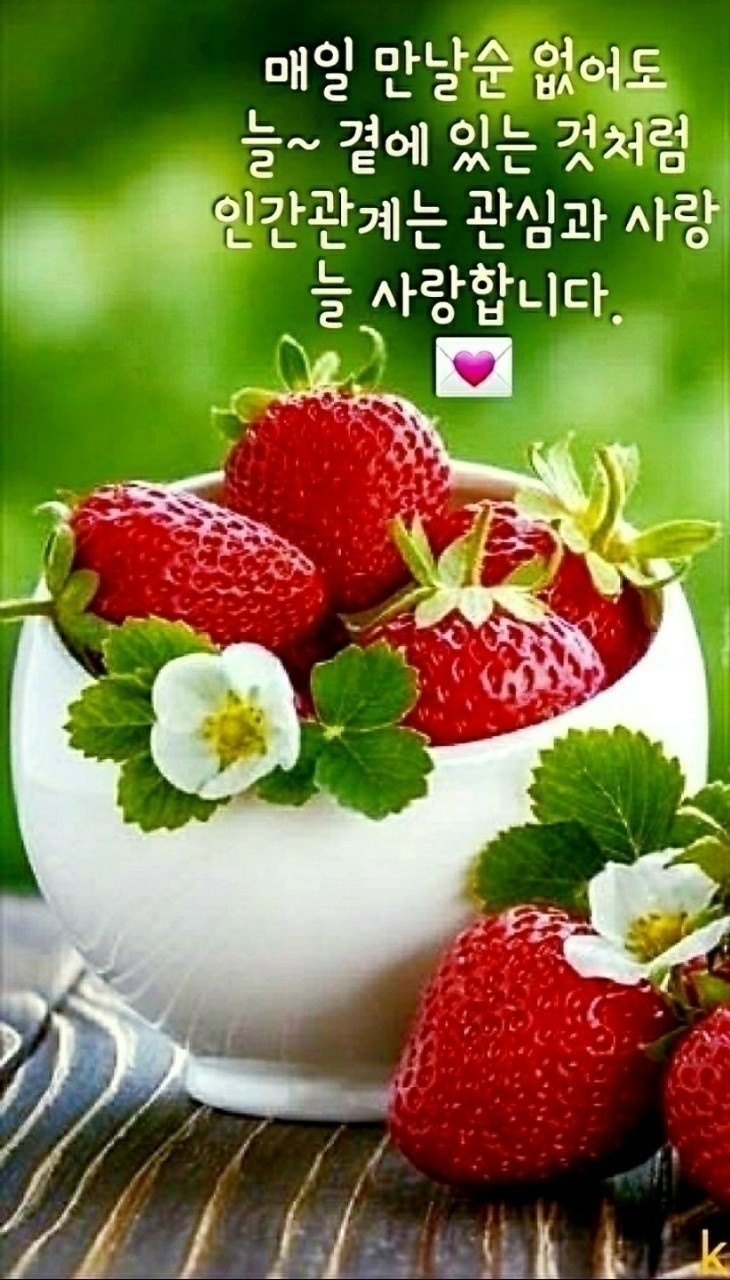 대성종합중기 이미지