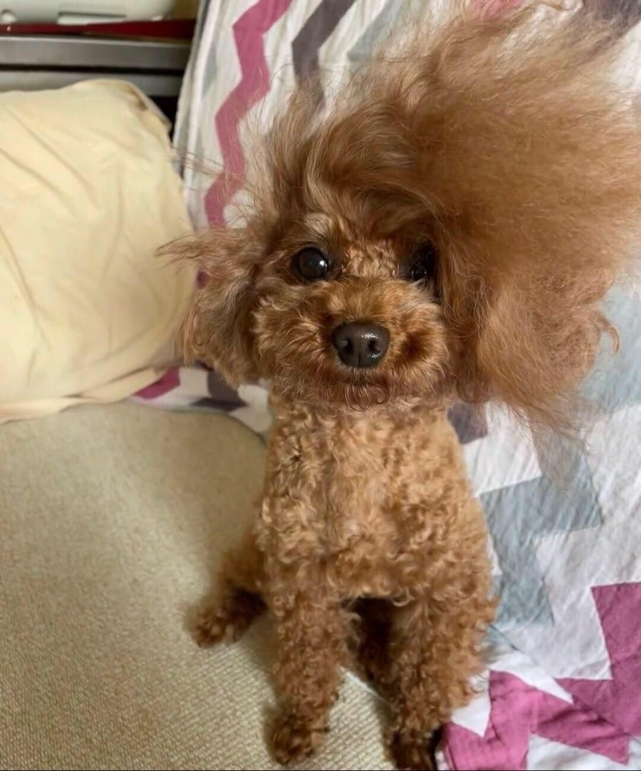 (주)굿하루 이미지