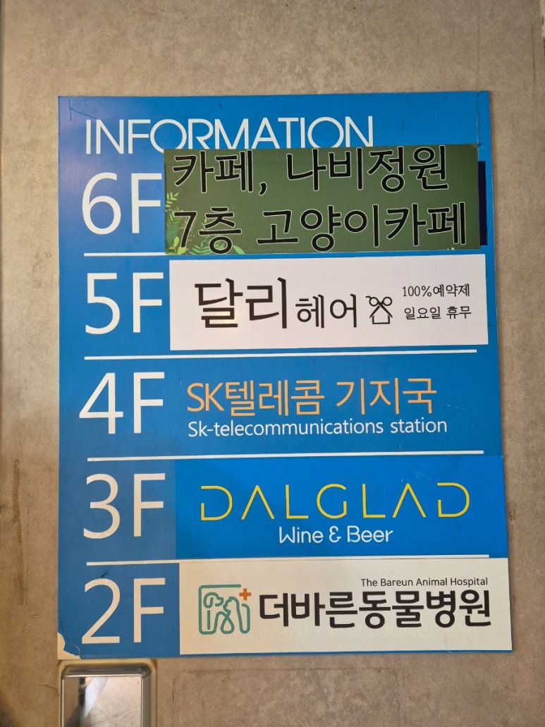 부산고양이까페나비정원 이미지