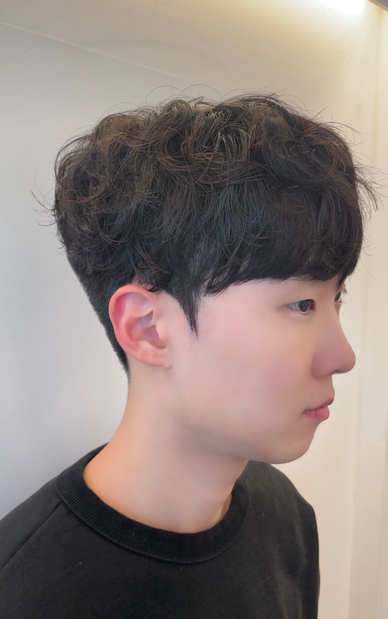 그레이스헤어 이미지
