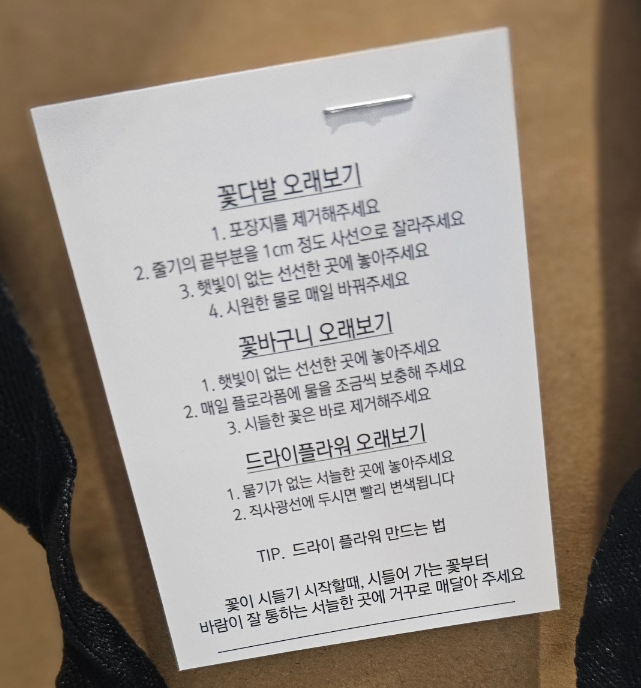 라이티티아플로 이미지