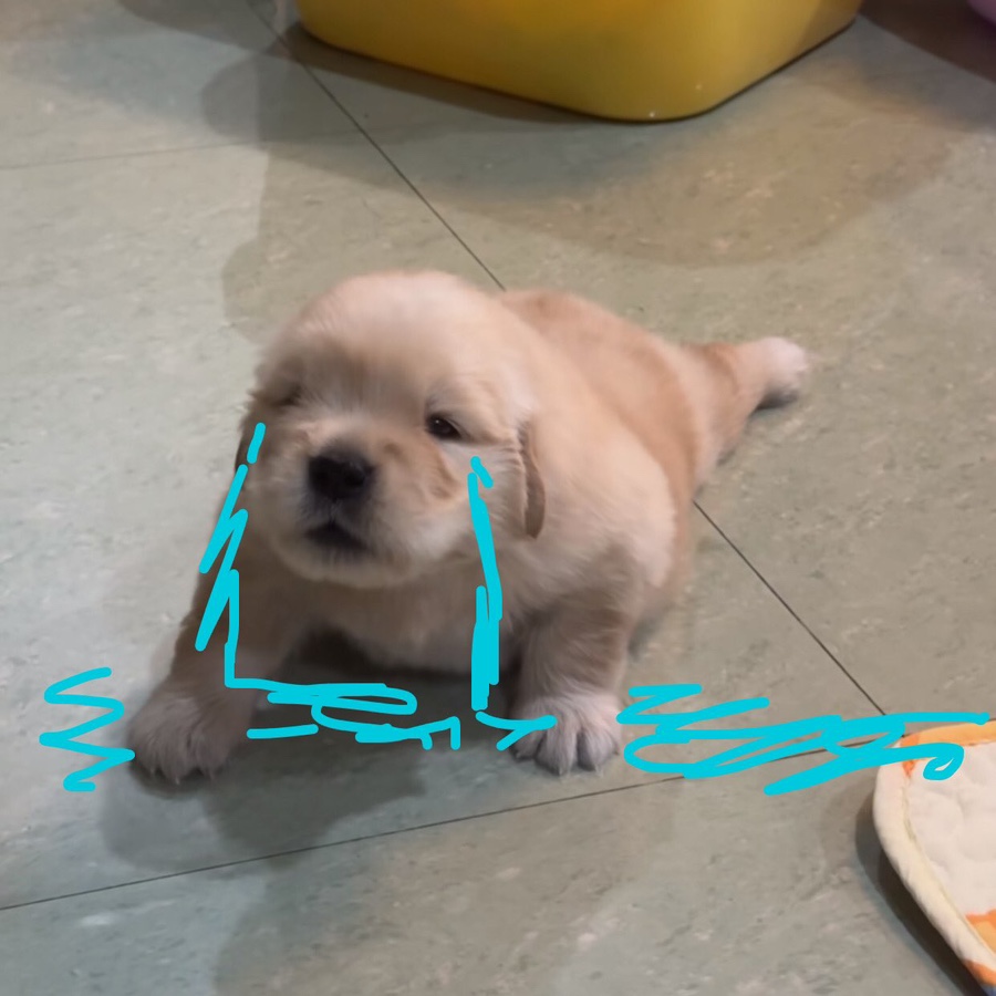 엑스파트 이미지