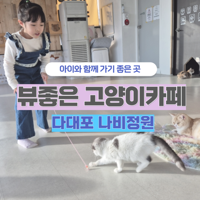 부산고양이까페나비정원 이미지