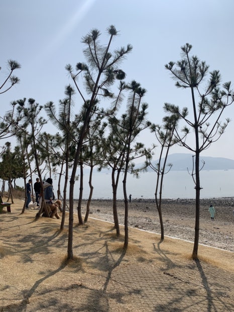 소나무숲식당 이미지