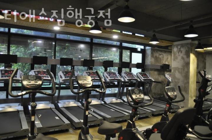 티에스짐 이미지