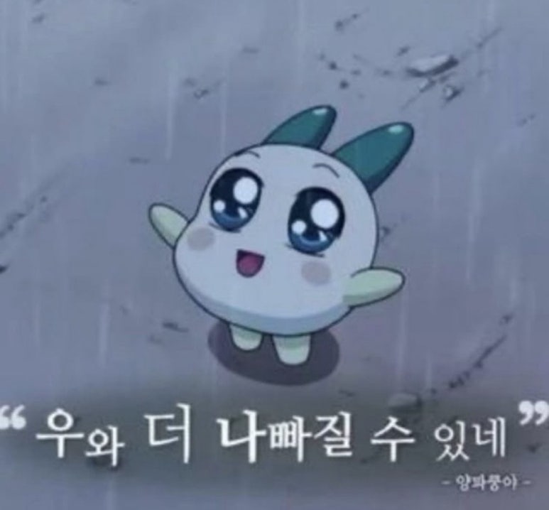 새잎이 이미지