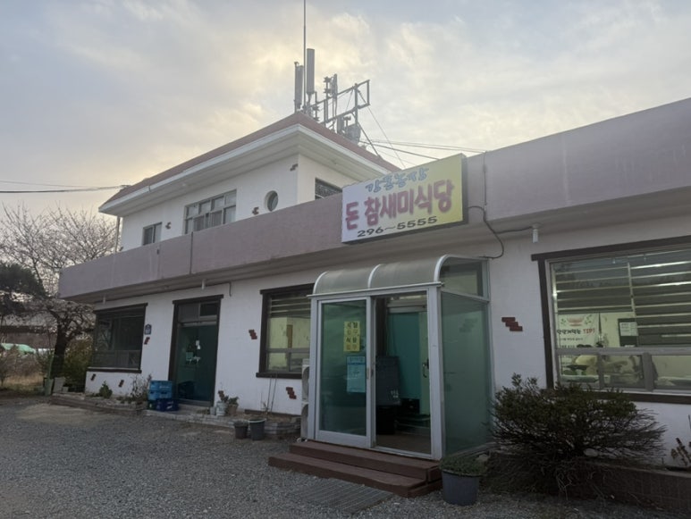 돈참새미 이미지