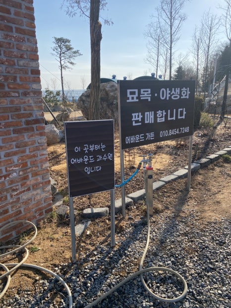 러브썸팜 이미지