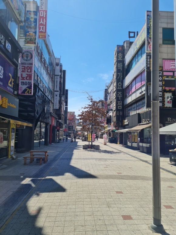 베트남다국적노래클럽 이미지