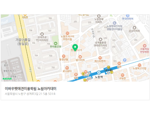 노원 애견미용 학원, 50대도 가능한 자격증 도전기 — 사진 3
