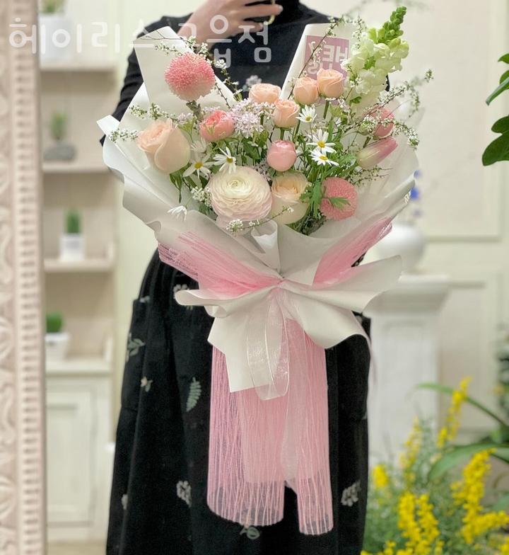 헤이리스 이미지