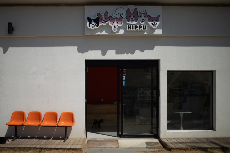 히푸(HIPPU) 이미지