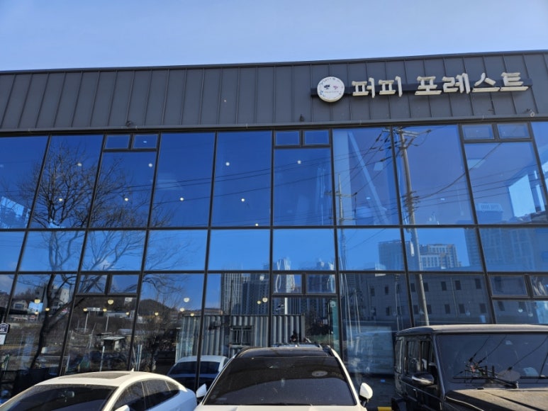 퍼피포레스트 이미지