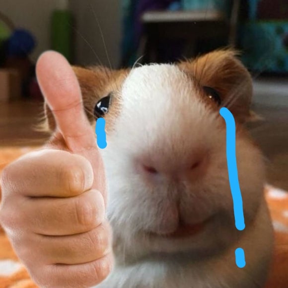 지영족발 이미지