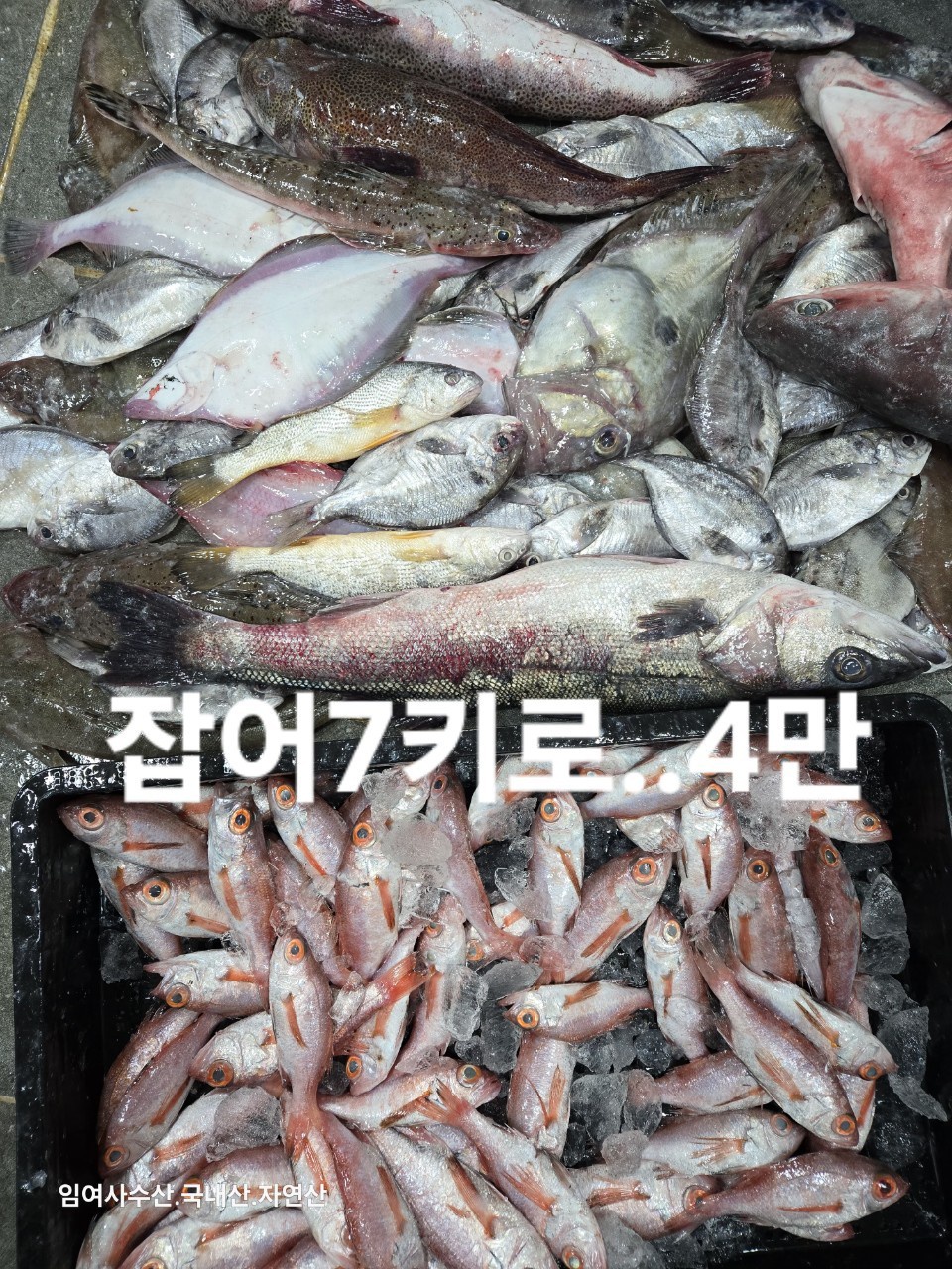 임여사수산 이미지