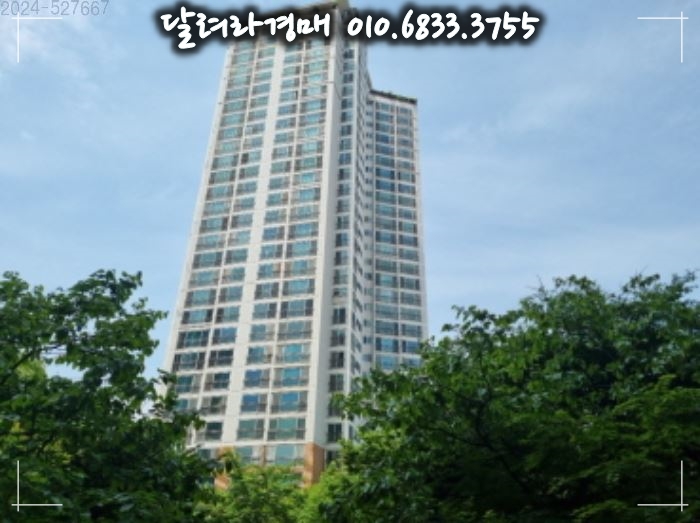 별빛논현 이미지