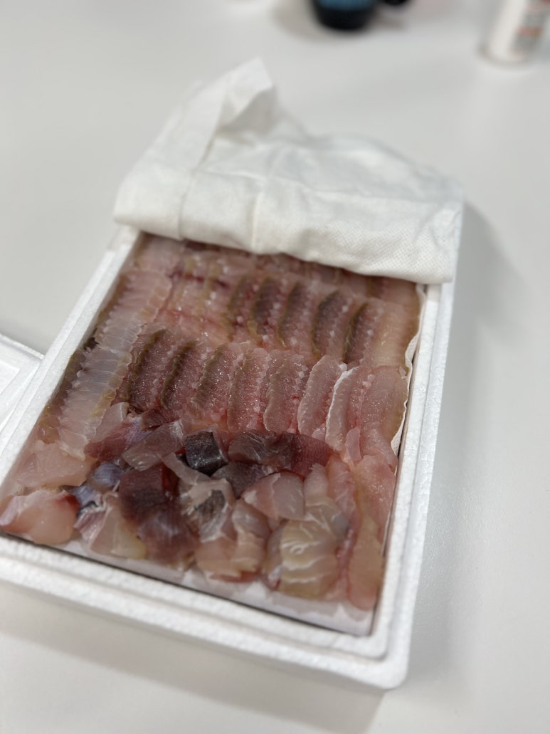 홍도한성수산 이미지