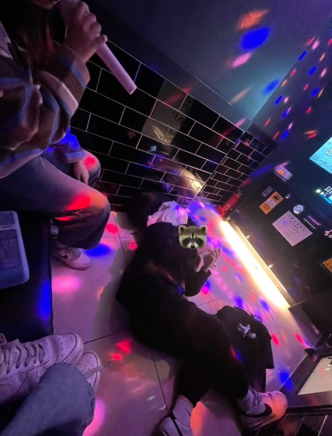 F;M 이미지