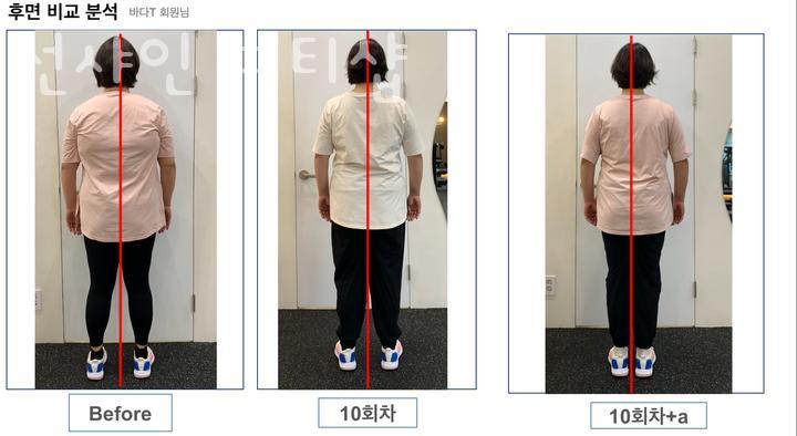 선샤인피티샵 이미지