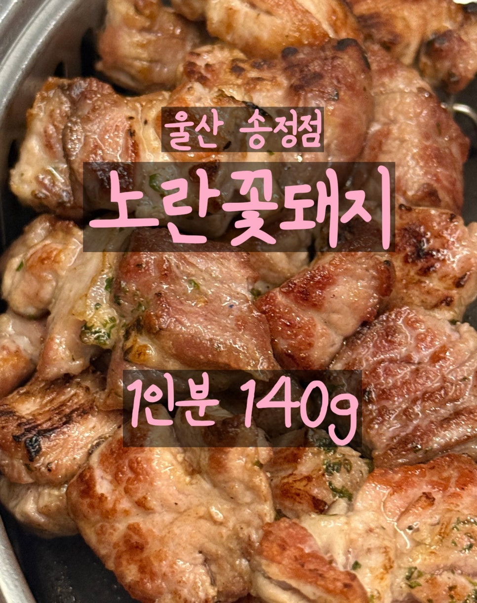 노란꽃돼지 이미지