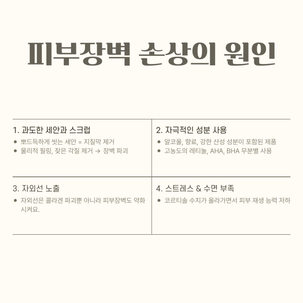 댄의원 이미지