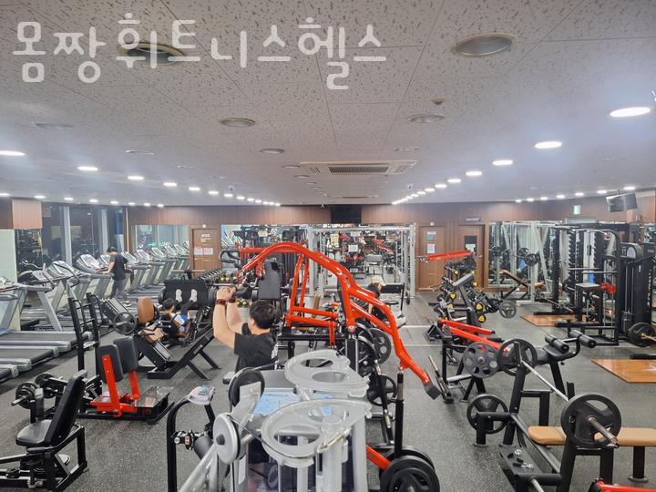 몸짱헬스 이미지