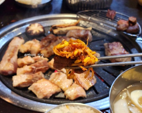 돼지청 이미지