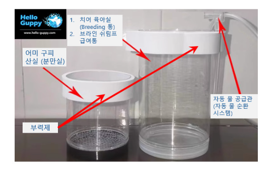 헬로구피 이미지