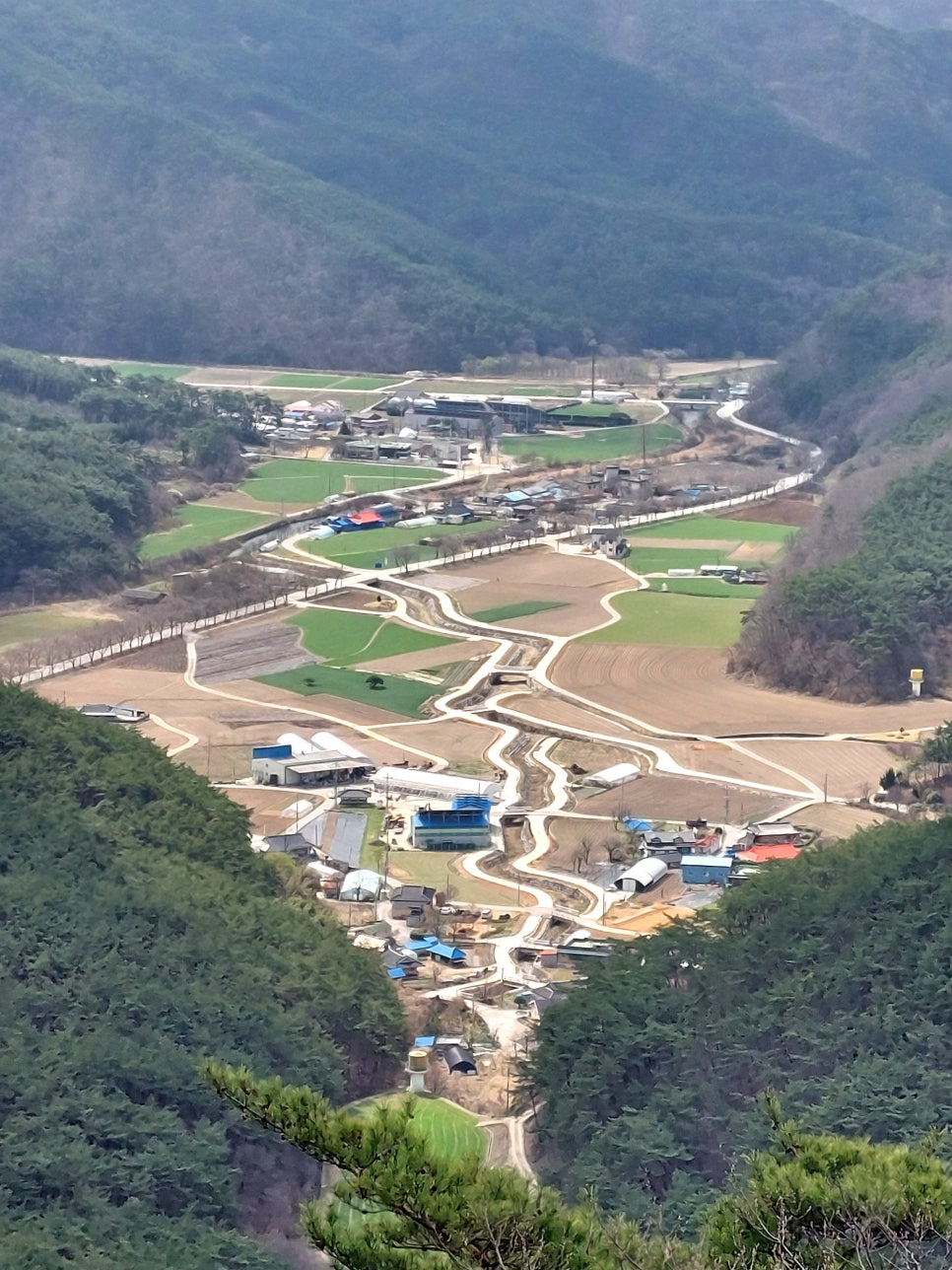 진달래핀풍경 이미지