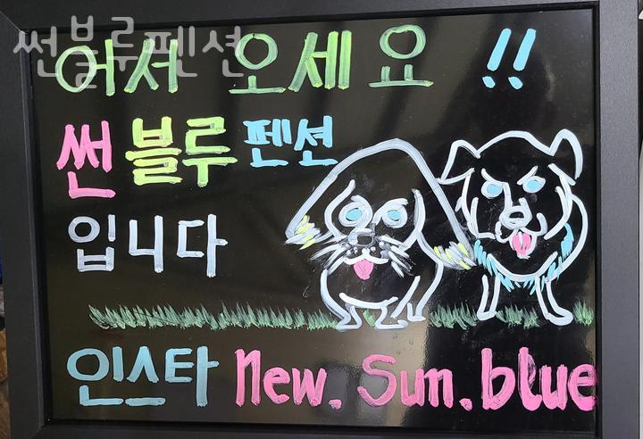 썬블루 이미지
