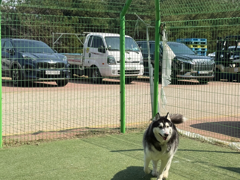 코코다방 이미지