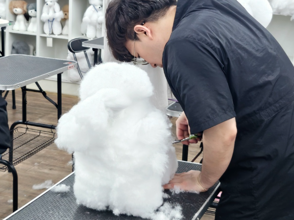 노원 애견미용 학원, 50대도 가능한 자격증 도전기 — 사진 4