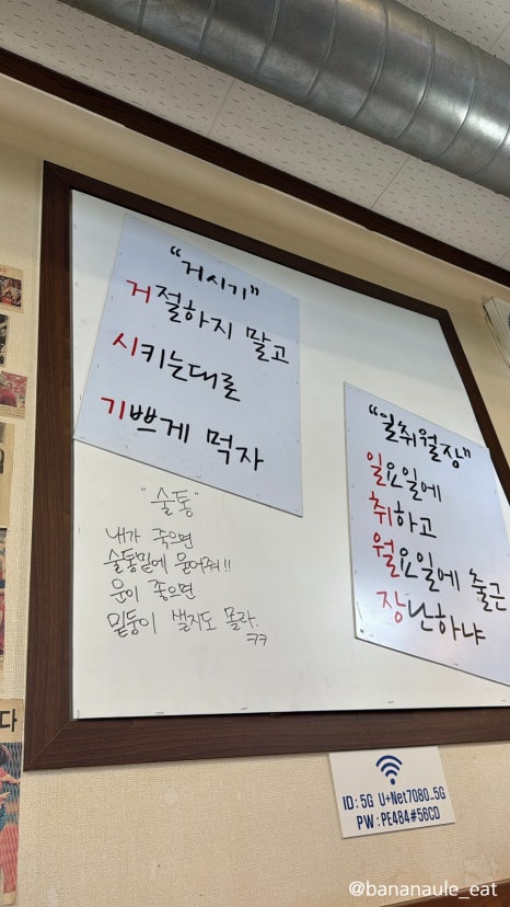 술딴지 이미지