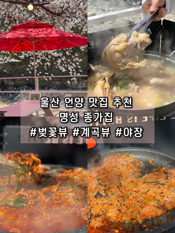 명성종가집 이미지