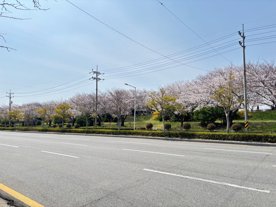 삼락주유소 이미지