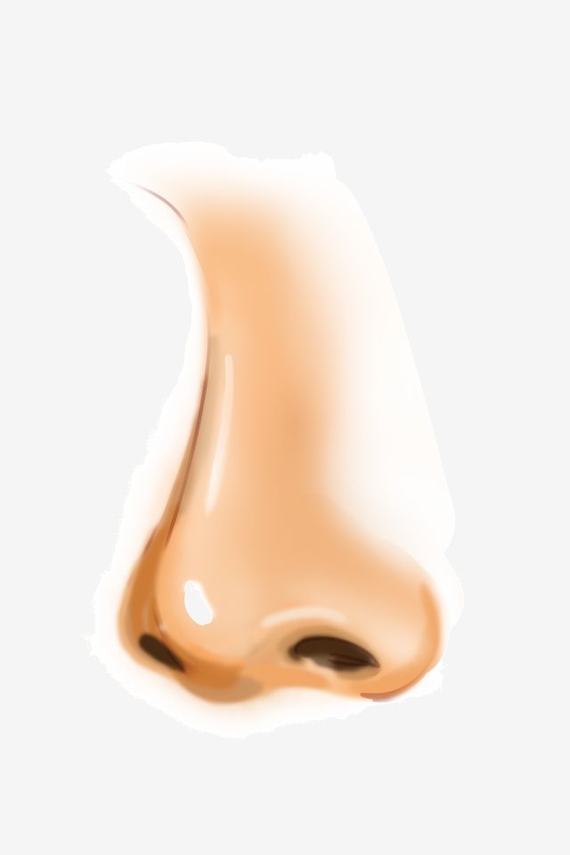 윤광 이미지