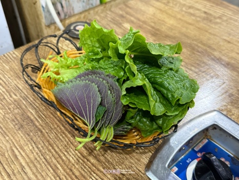 원조소문난온천장곰장어 이미지