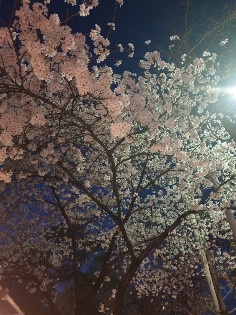 또친 이미지