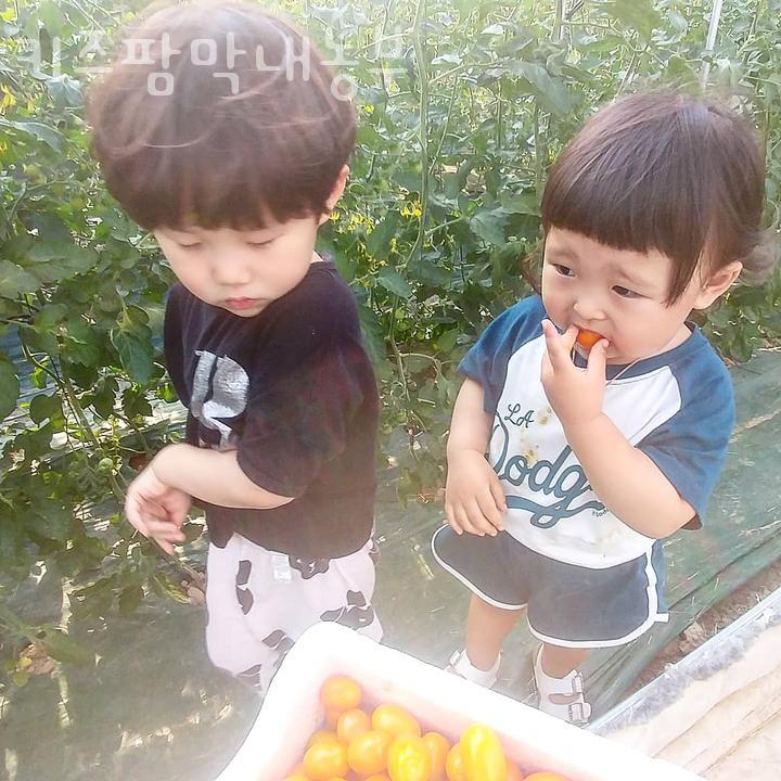 주식회사농부 농업회사법인 이미지