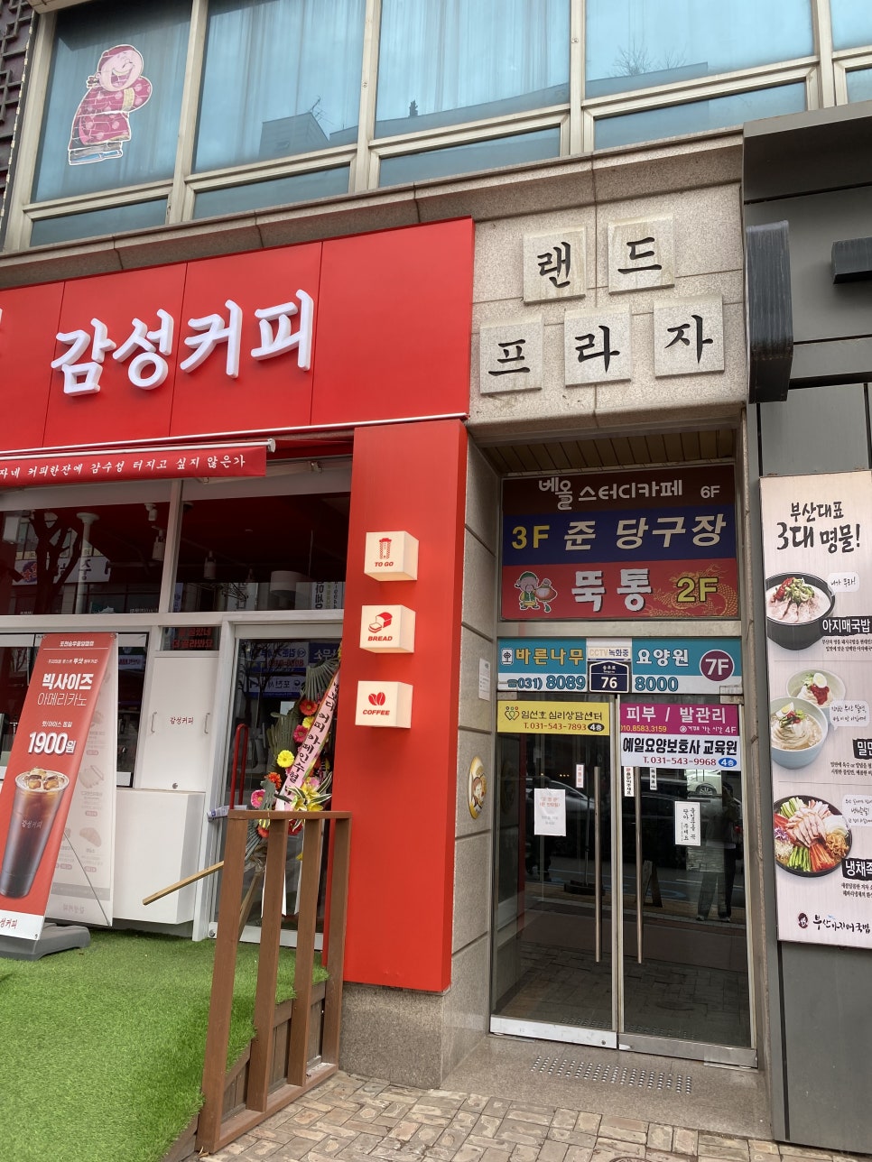 디피댄스 이미지