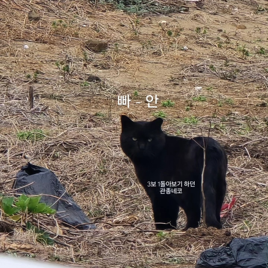 또오랑 이미지