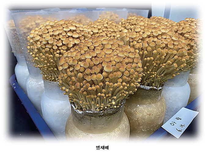 아람반점 이미지