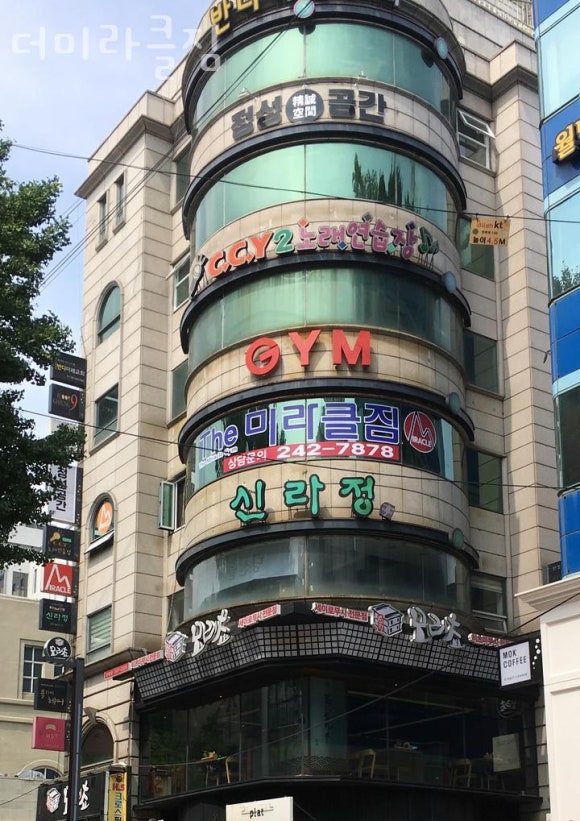 더미라클 이미지