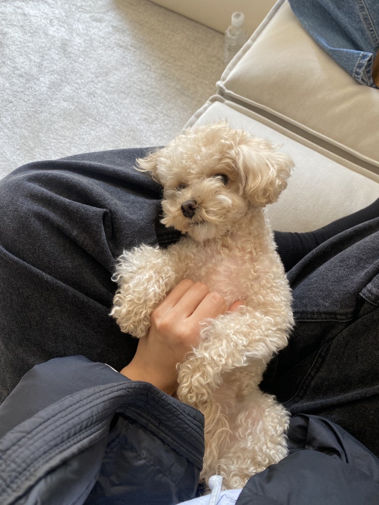경이식육식당 이미지