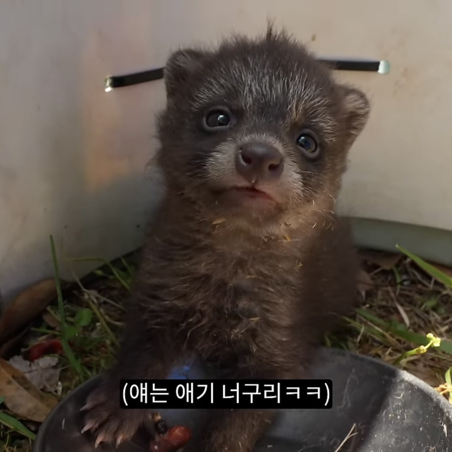 국제몰 이미지