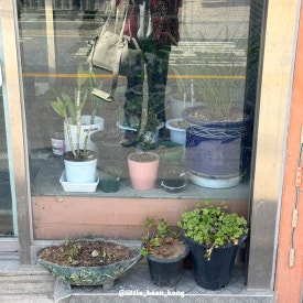 가마솥한우곰탕 이미지