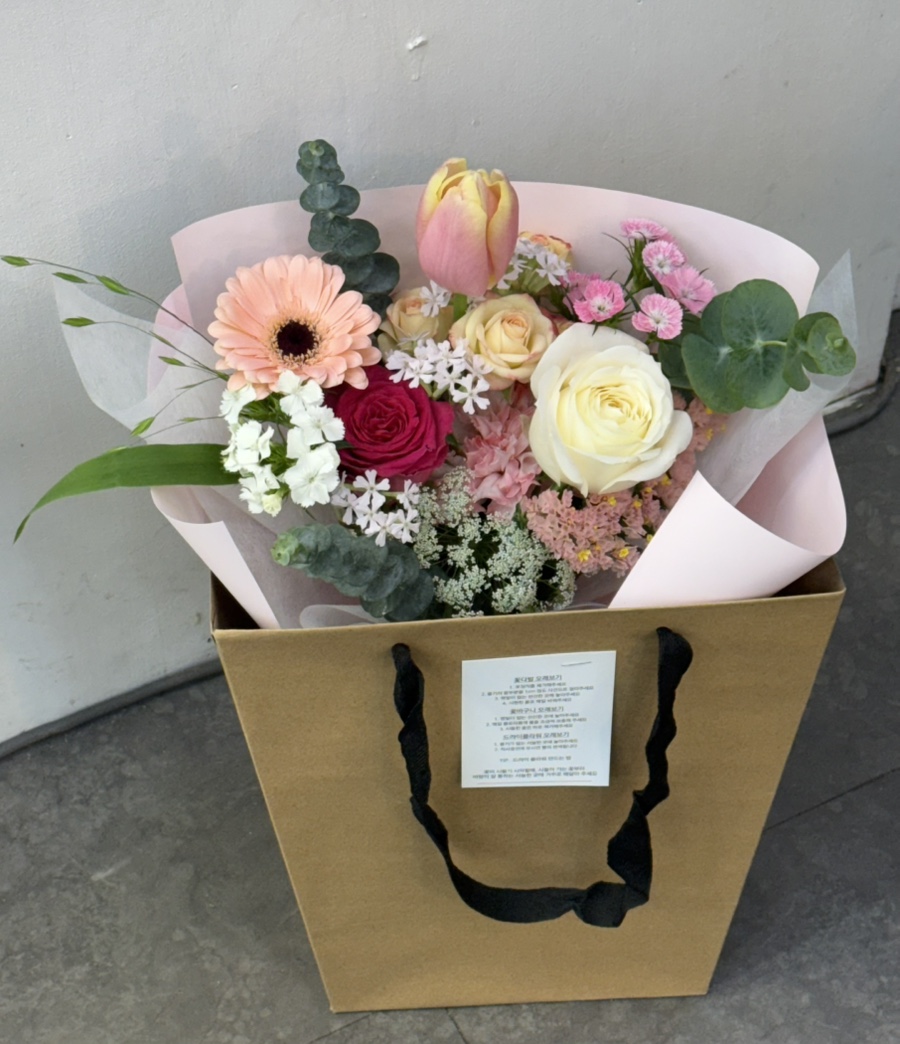 라이티티아플로 이미지