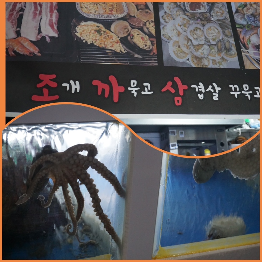조개까묵고삼겹살꾸묵고 이미지